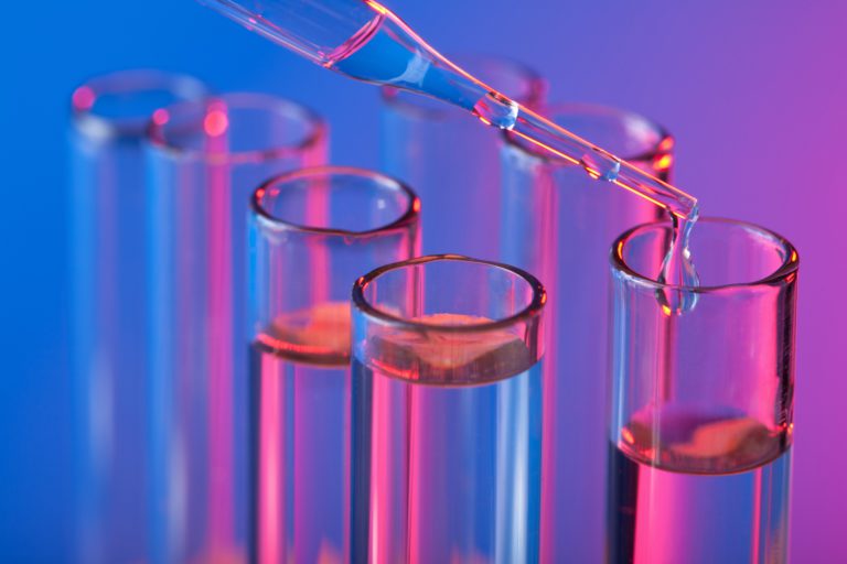 Seattle lab experiment