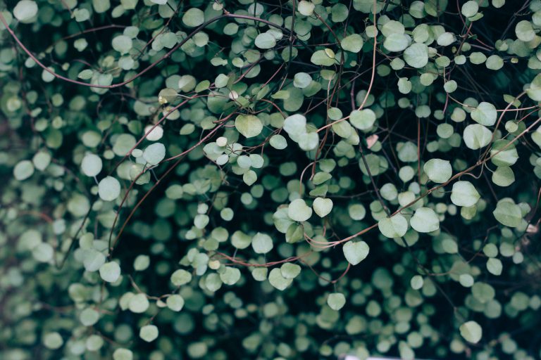 Vadim l mgfuataqnk unsplash