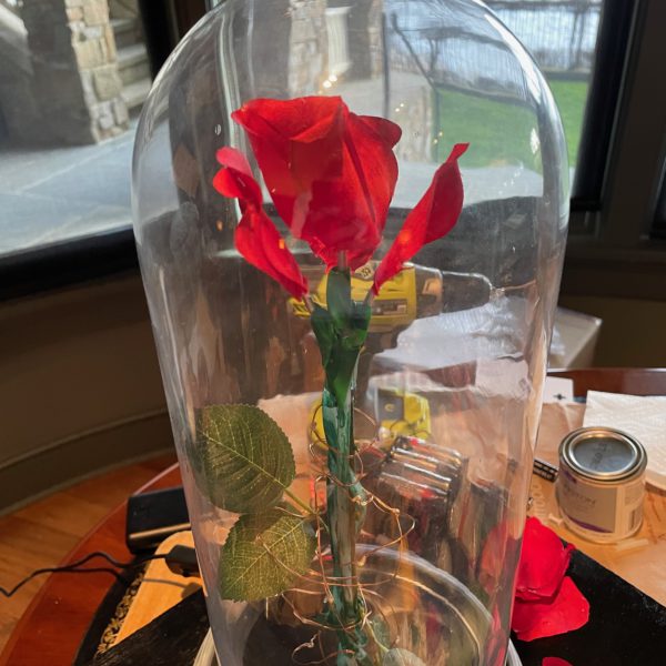 Enchanted Rose 2.0 with Falling Petals