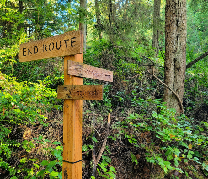 Simple Digital Solution for Booking Days in a Vacation Home