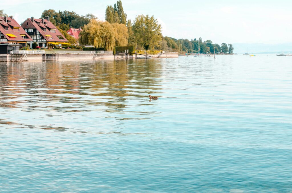 Nika benedictova 2v8cpbbyuo unsplash